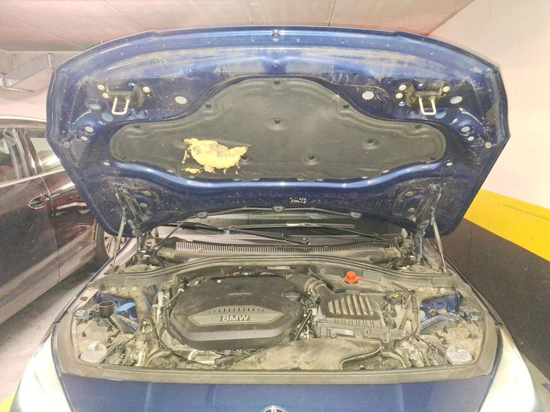 BMW 1er 116d Advantage — zdjęcie 21