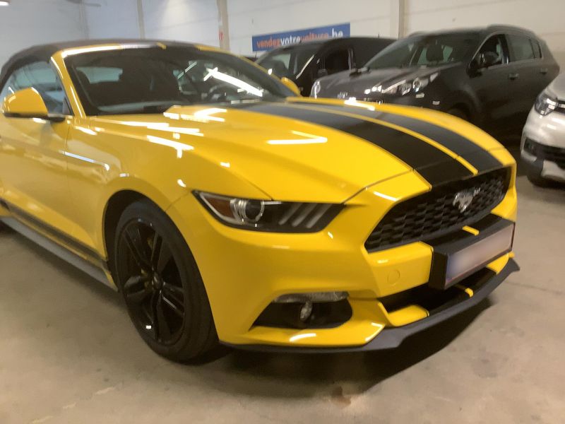 Ford Mustang 2.3 EcoBoost Convertible Basis — zdjęcie 8
