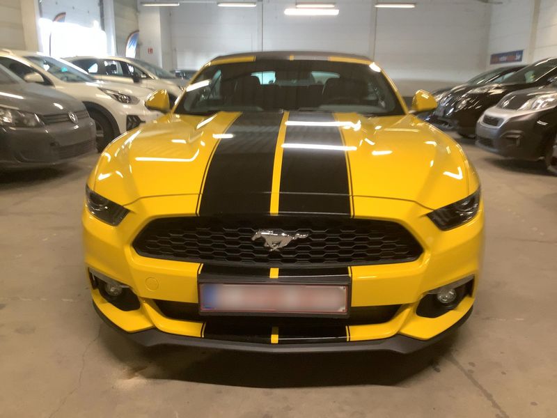 Ford Mustang 2.3 EcoBoost Convertible Basis — zdjęcie 9