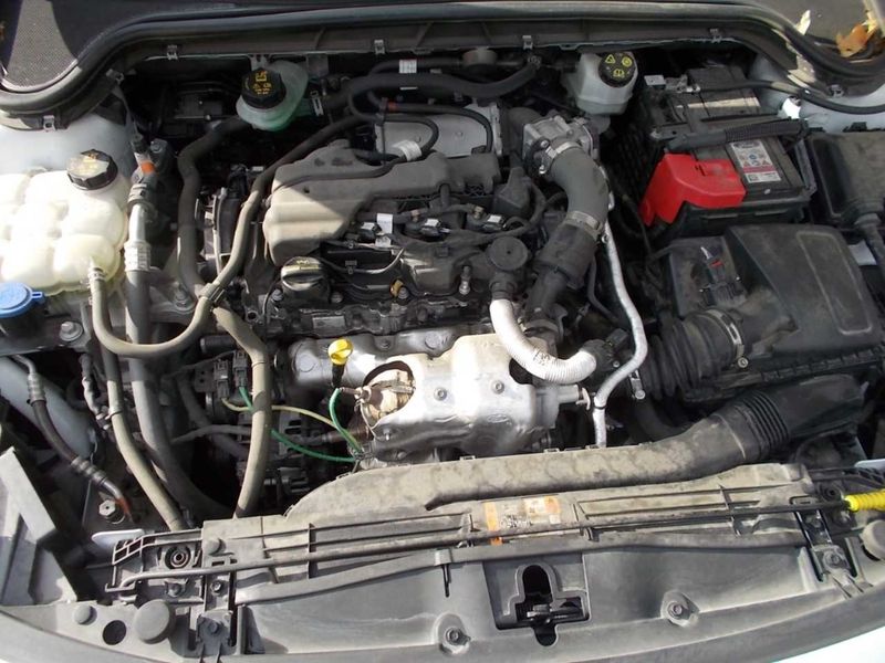 Ford Focus 1.5 TDCi EcoBlue Business — zdjęcie 24