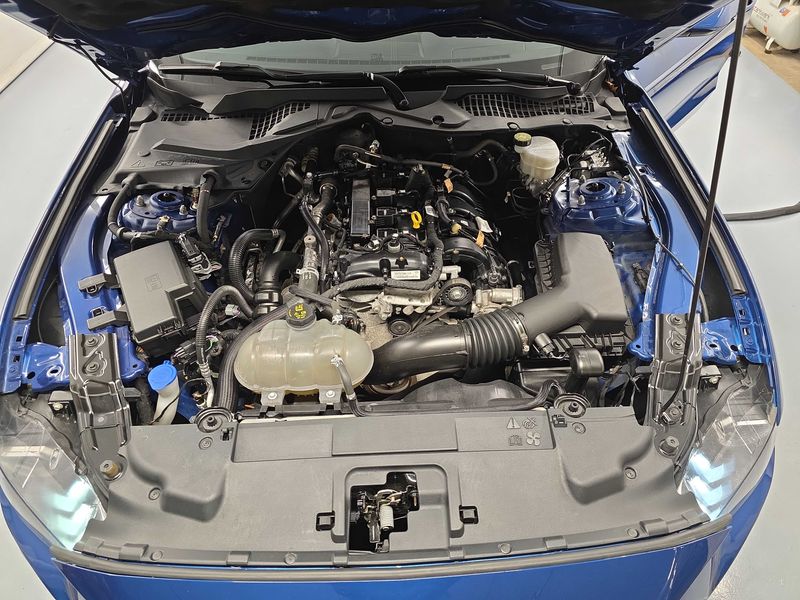 Ford Mustang 2.3 EcoBoost Fastback — zdjęcie 8