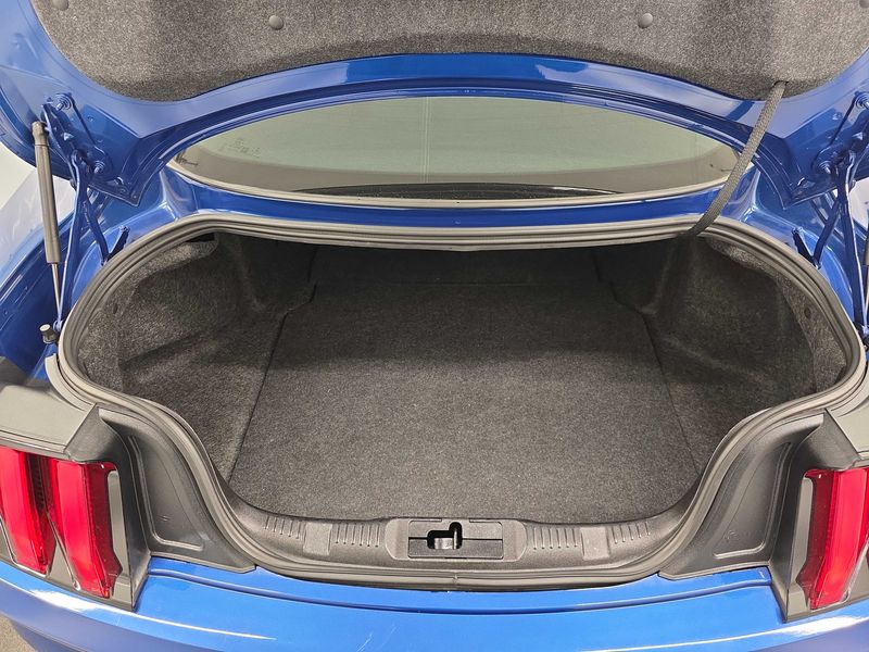 Ford Mustang 2.3 EcoBoost Fastback — zdjęcie 9