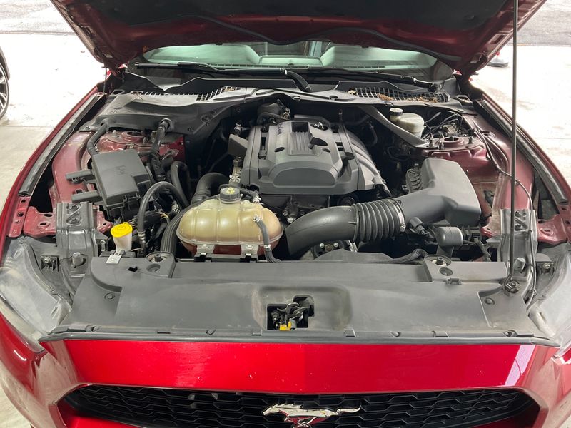 Ford Mustang 2.3 EcoBoost Fastback — zdjęcie 32