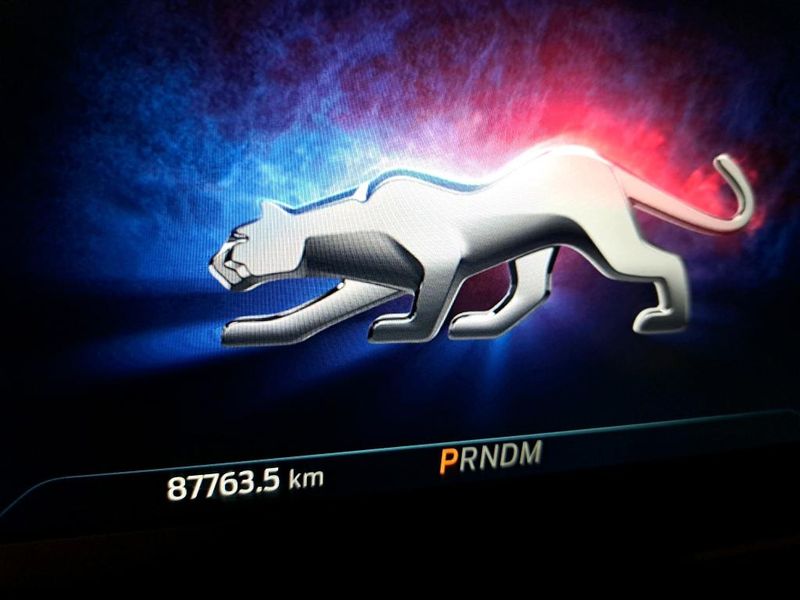 Ford Puma 1.0 EcoBoost Mild-Hybrid ST-Line Vignale — zdjęcie 6