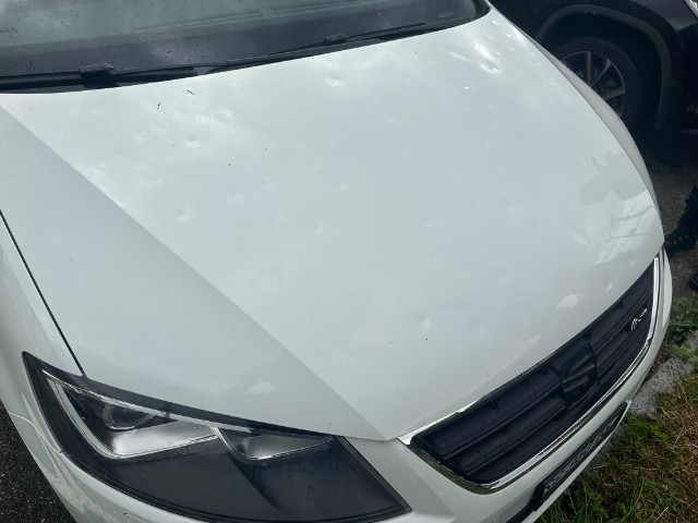 SEAT Alhambra 2.0 TDI FR-Line Allrad — zdjęcie 10