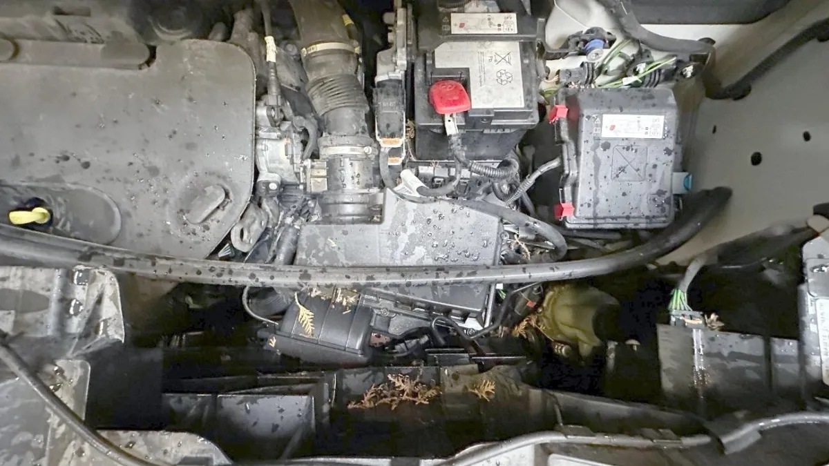 OPEL Vivaro Cargo2.0Enj.LEH4x4, 122 PS — zdjęcie 12