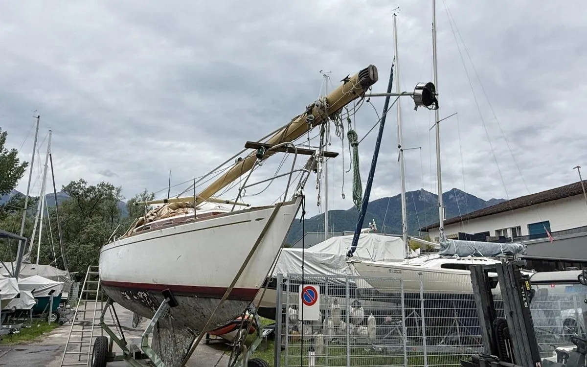 Hallberg Mistral Rassy — zdjęcie 6
