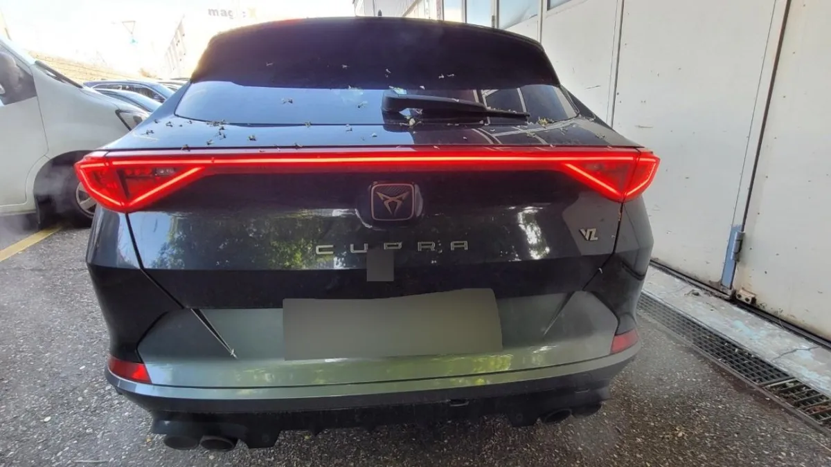 Cupra 2.0 tSI VZ 4Drive DSG, 310 PS — zdjęcie 6