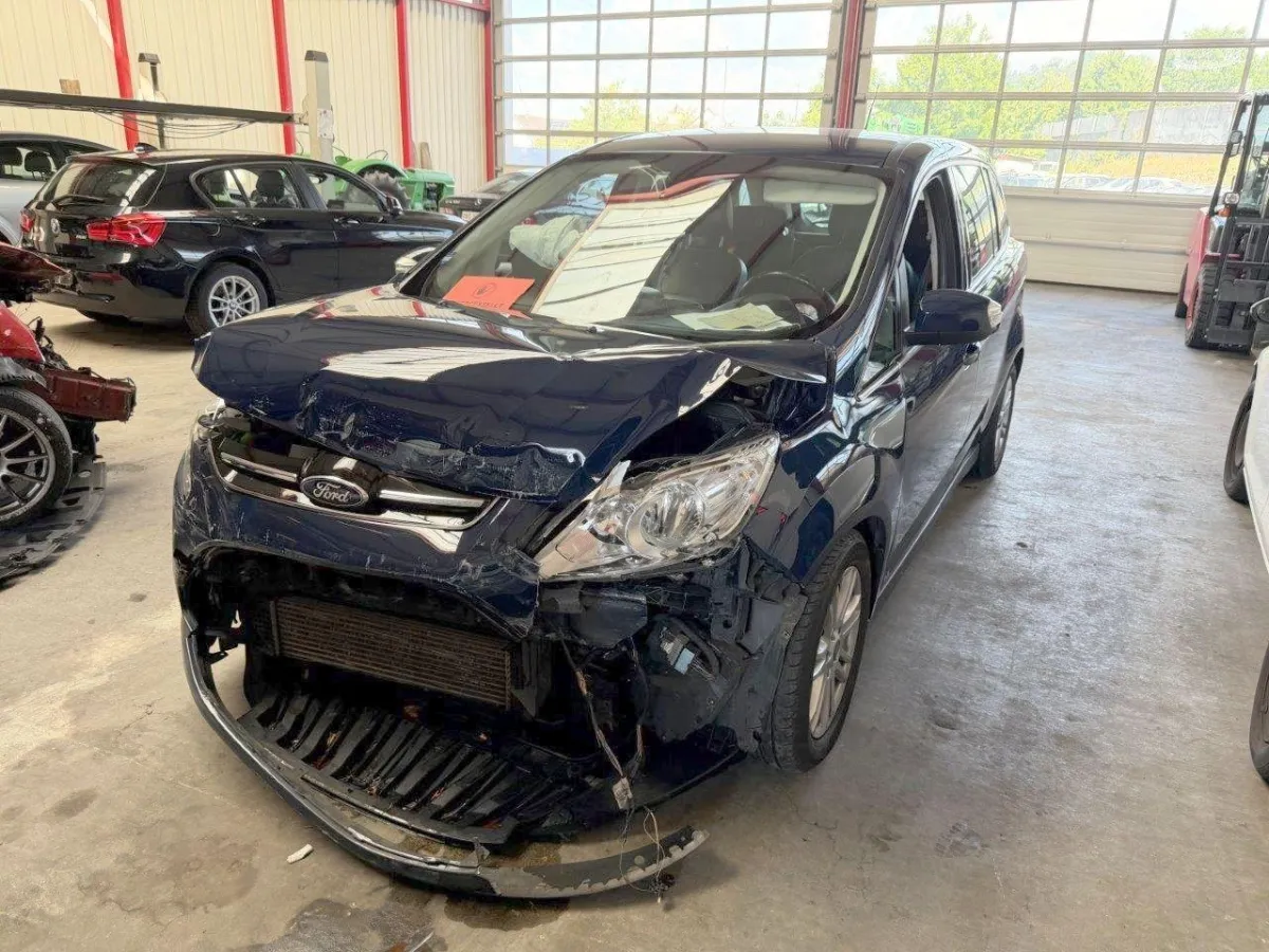 Ford Grand C-Max 2.0 TDCi Carving 2.0, 140 PS — zdjęcie 1