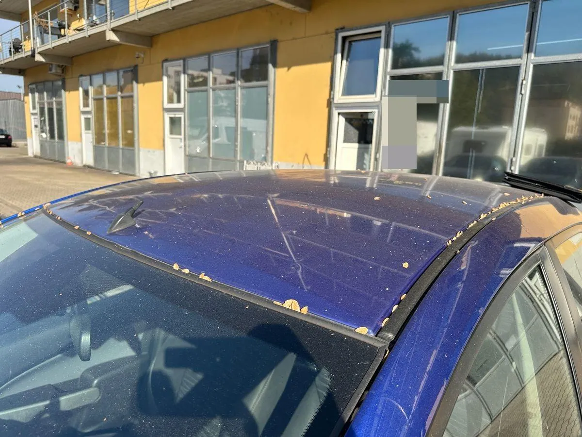 Mazda 2 1.3 86 MZR Exclusive, 86 PS — zdjęcie 13