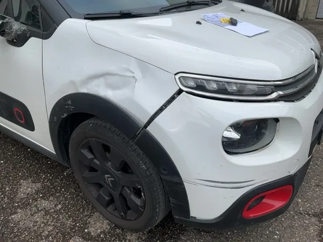 Citroën C3 1.2 PureTech Shine 1.2, 110 PS — zdjęcie 11