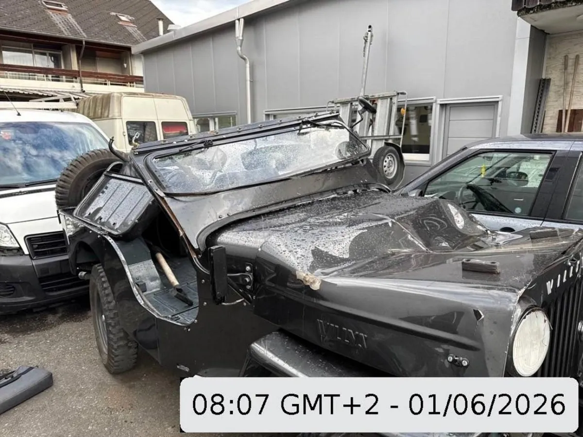 Willys Jeep CJ-3B Willys Jeep CJ-3B 2.2, 61 PS — zdjęcie 14