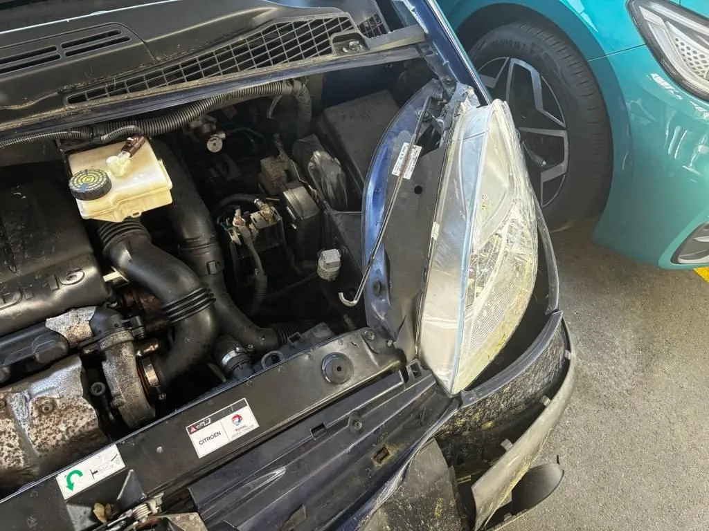 Citroën Xsara Picasso - (C) Xsara Picasso SX 1.6, 109 PS — zdjęcie 12
