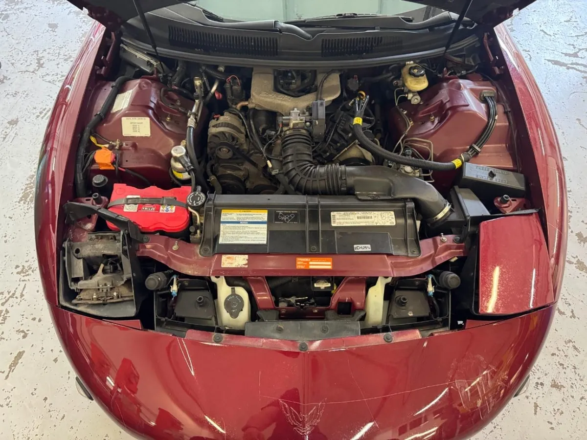 Pontiac Firebird 3.4 V6 3.4, 148 PS — zdjęcie 11