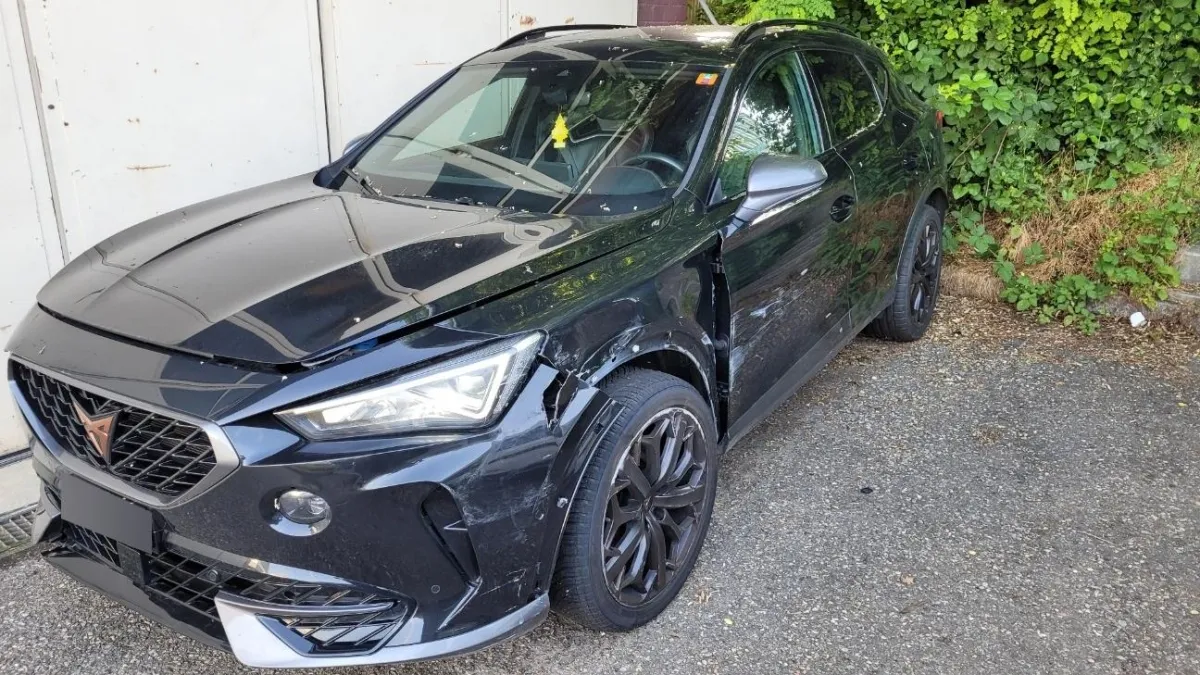 Cupra 2.0 tSI VZ 4Drive DSG, 310 PS — zdjęcie 3