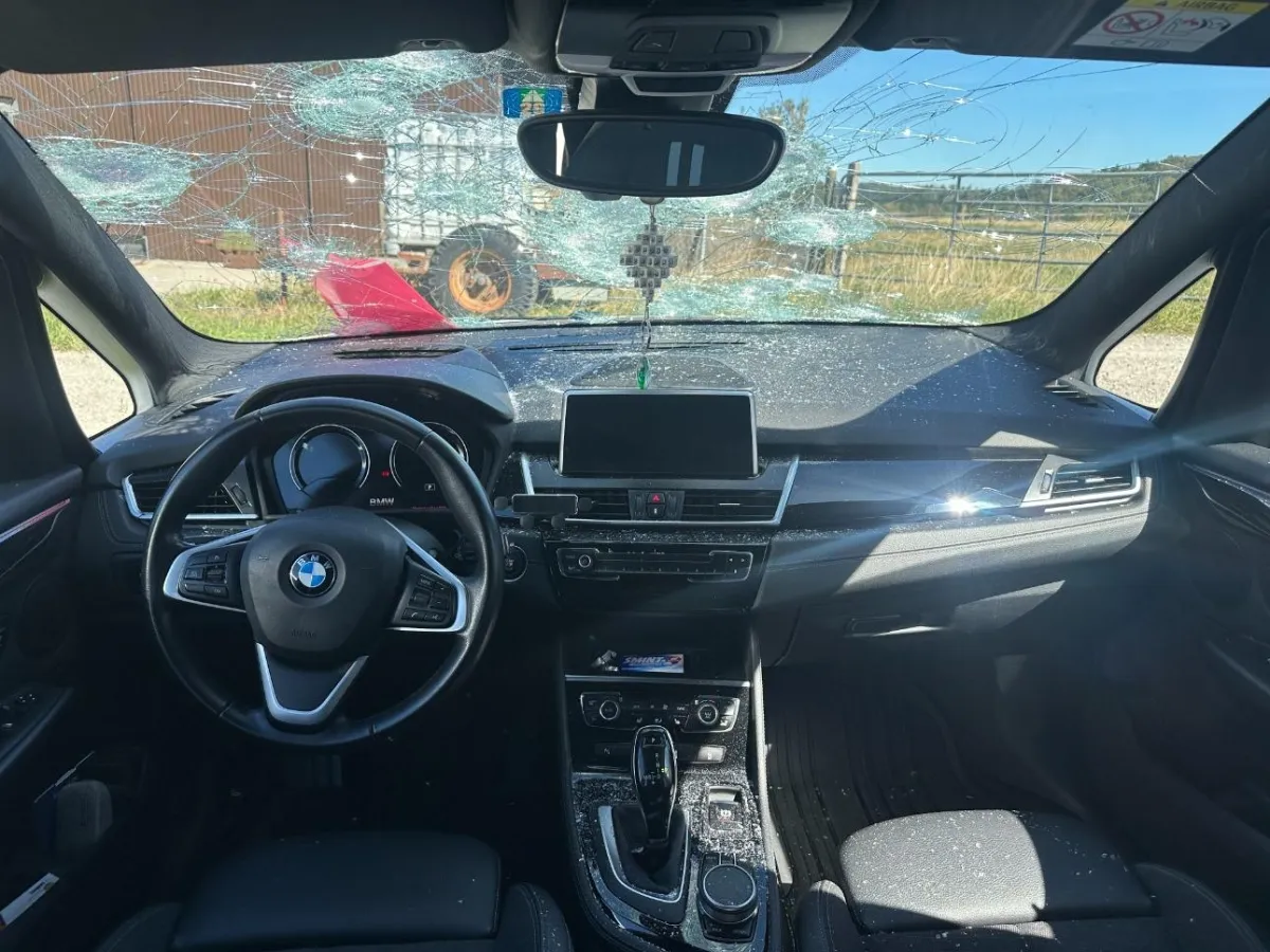 BMW 2er Reihe F46 Gran Tourer 218i, 140 PS — zdjęcie 7