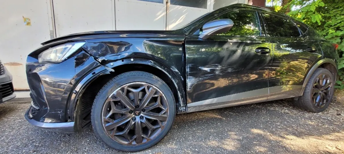 Cupra 2.0 tSI VZ 4Drive DSG, 310 PS — zdjęcie 2