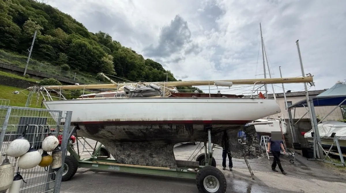 Hallberg Mistral Rassy — zdjęcie 1