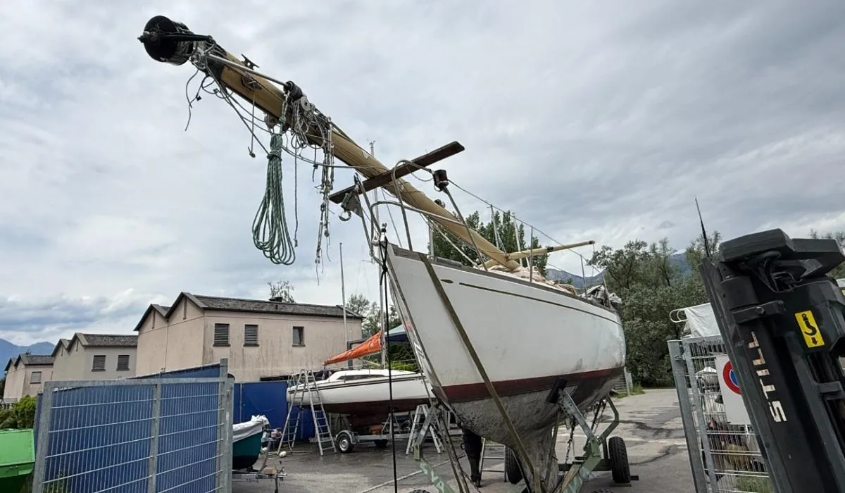 Hallberg Mistral Rassy — zdjęcie 5