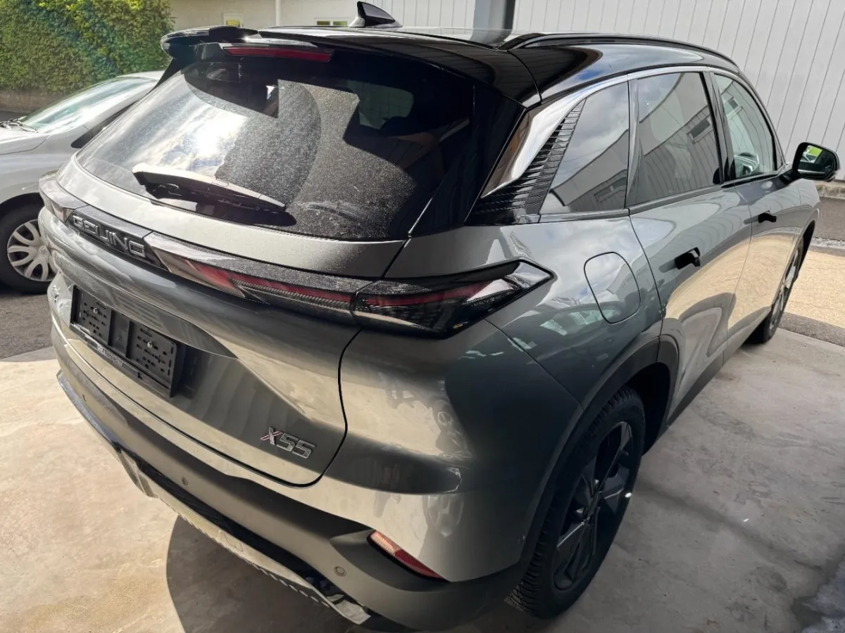 Baic Baic X55, 188 PS — zdjęcie 2