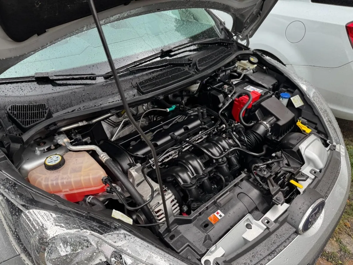 Ford Fiesta 3-türig/Fiesta Fiesta Trend, 96 PS — zdjęcie 13
