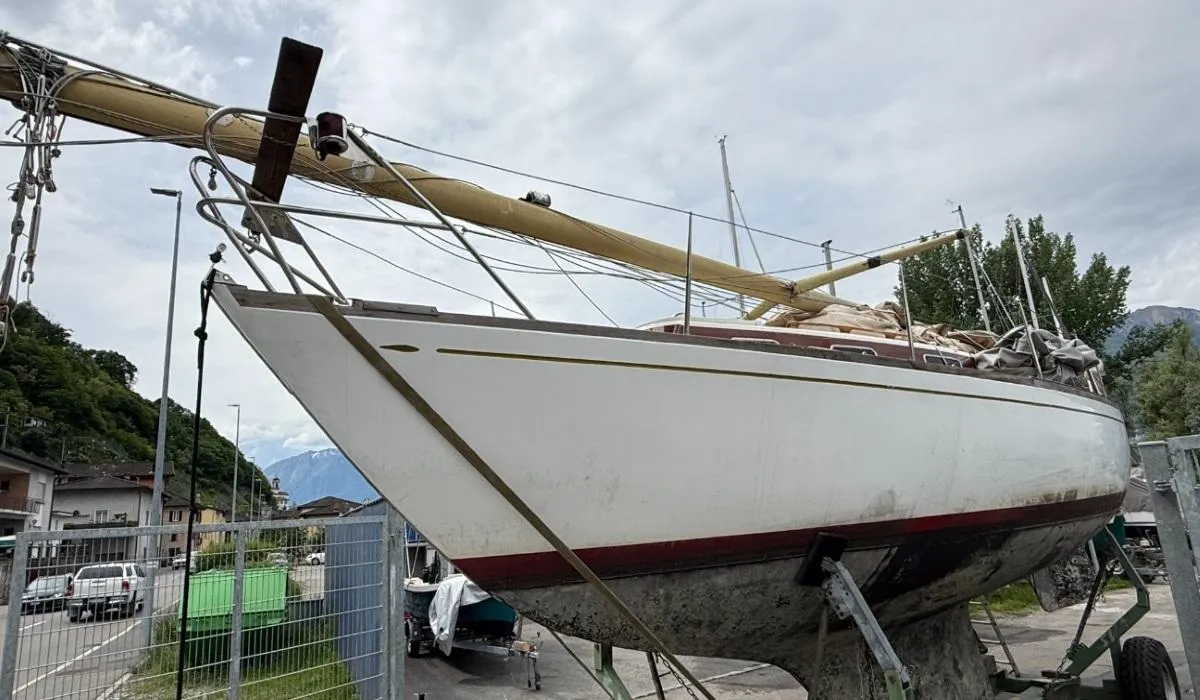 Hallberg Mistral Rassy — zdjęcie 4