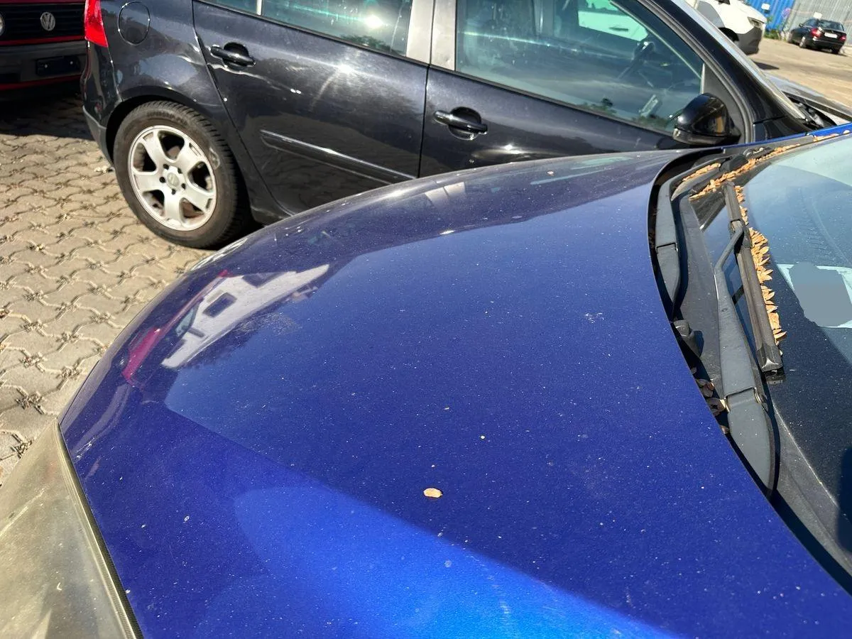 Mazda 2 1.3 86 MZR Exclusive, 86 PS — zdjęcie 12