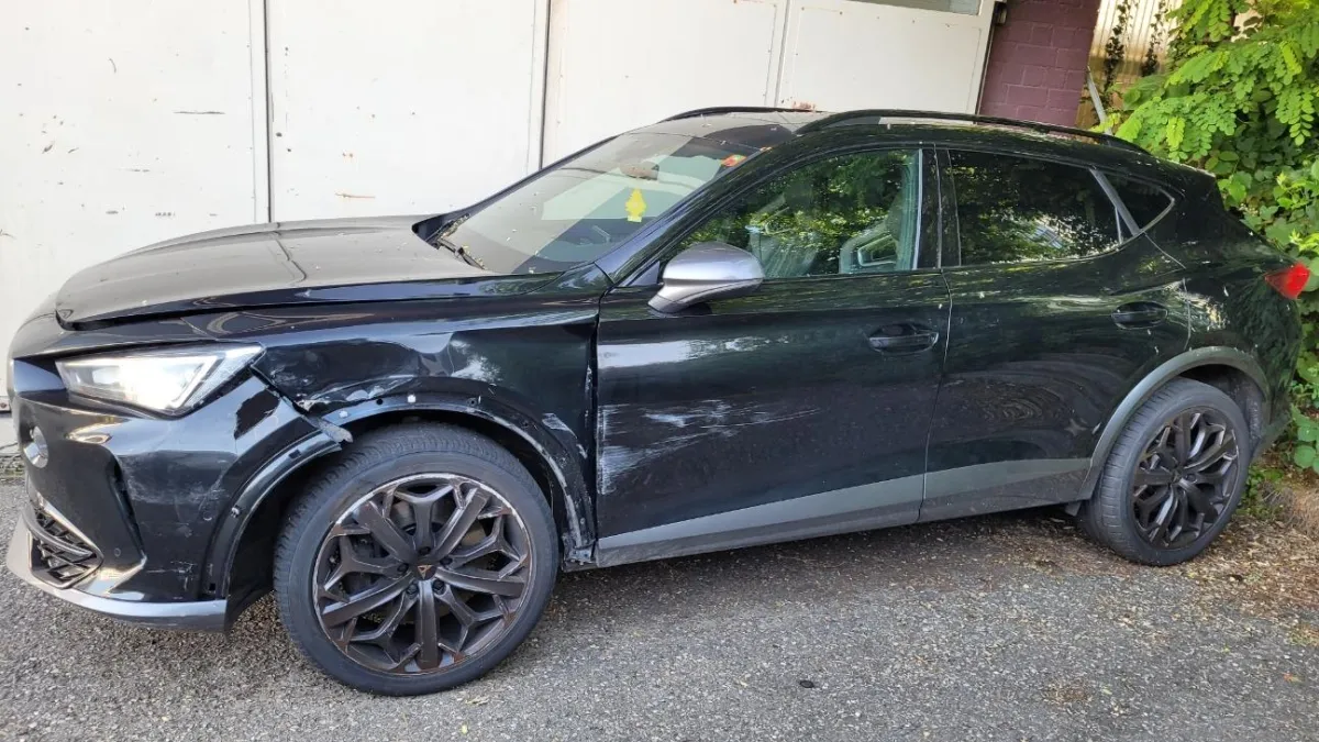 Cupra 2.0 tSI VZ 4Drive DSG, 310 PS — zdjęcie 1